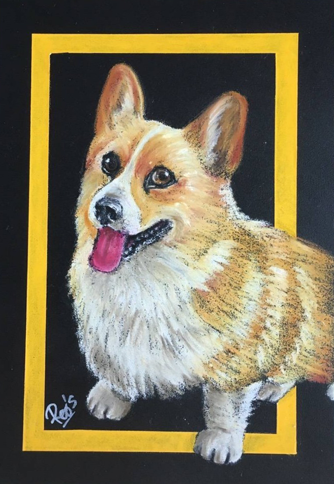 corgiの画像