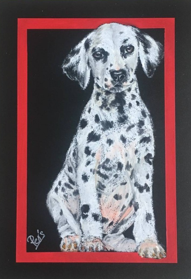 dalmatianの画像